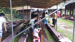 20170709_115249.jpg