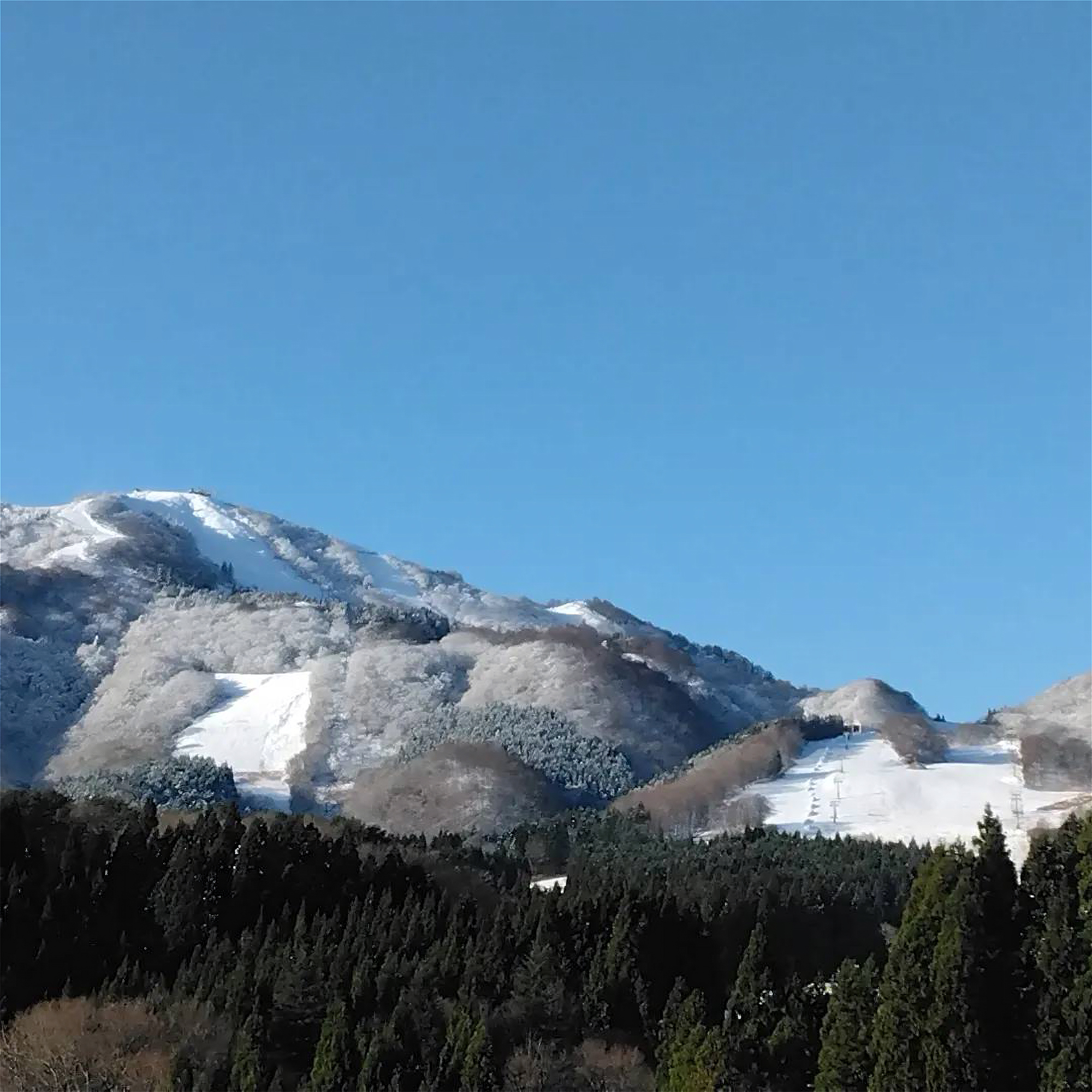 ハチ北で最大規模のレンタルショップ